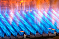 Dauntsey gas fired boilers